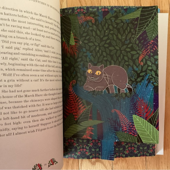 Alice’s Adventures in Wonderland & Through the Looking Glass - Illustrated - Picture 5 of 14